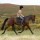 The List – Collingwood Standardbreds Avatar