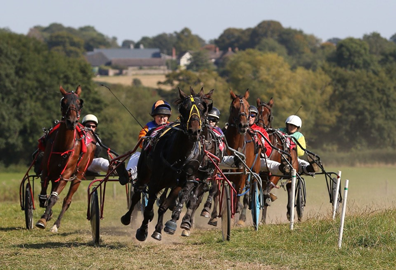 Standardbreds vs French Trotters – Collingwood Standardbreds